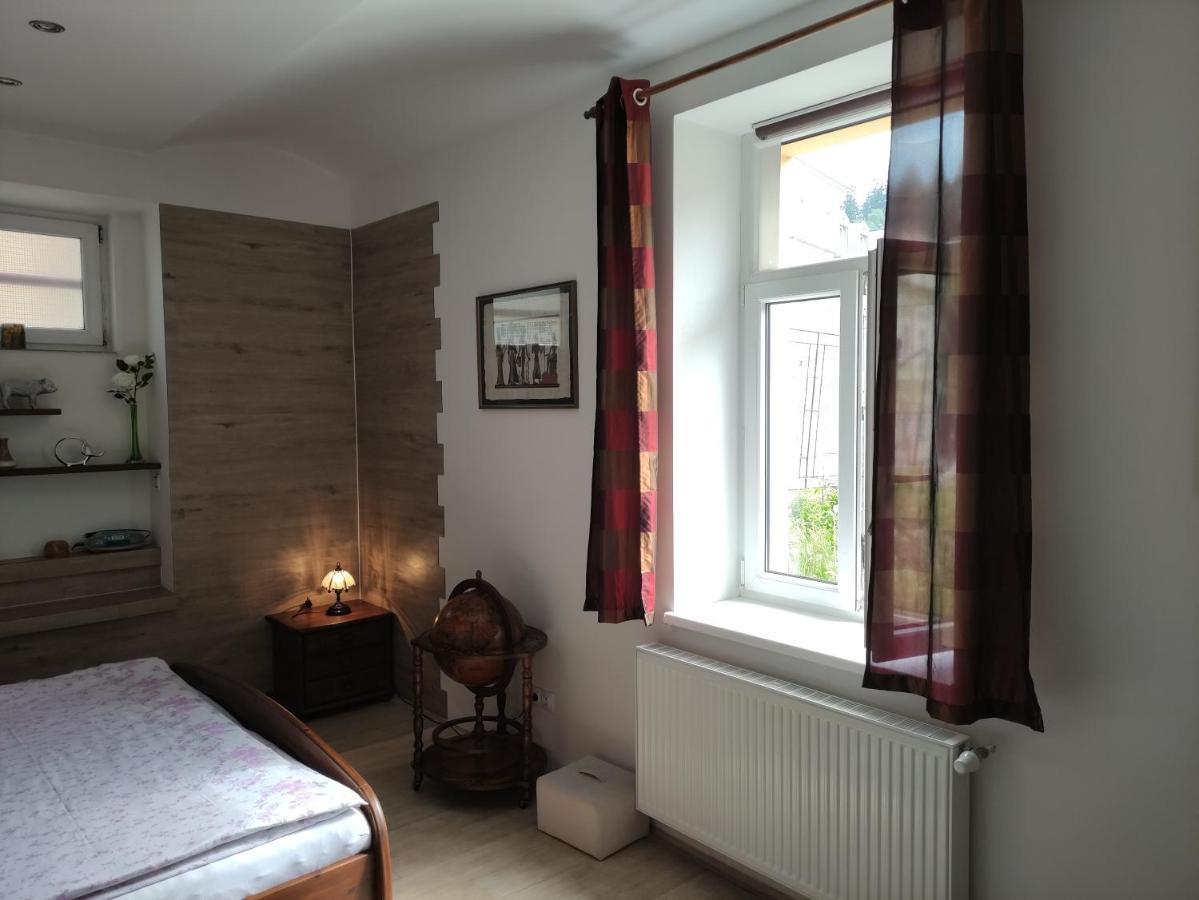 Apartman Friedrichsruh Apartment Marianske Lazne Ngoại thất bức ảnh